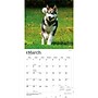 2027 BrownTrout Alaskan Malamutes 12" x 12" Monthly Wall Calendar (9798330712168)~#|#~sp320816485_sc7