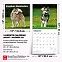2027 BrownTrout Alaskan Malamutes 12" x 12" Monthly Wall Calendar (9798330712168)~#|#~sp320816489_sc7