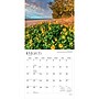 2027 BrownTrout America 12" x 12" Monthly Wall Calendar (9798330710300)~#|#~sp320816559_sc7