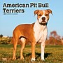 2027 BrownTrout American Pit Bull Terriers 12" x 12" Monthly Wall Calendar (9798330712175)~#|#~sp320816578_sc7