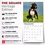 2027 BrownTrout American Pit Bull Terriers 12" x 12" Monthly Wall Calendar (9798330712175)~#|#~sp320816583_sc7