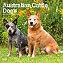 2027 BrownTrout Australian Cattle Dogs 12" x 12" Monthly Wall Calendar (9798330712182)~#|#~sp320816588_sc7