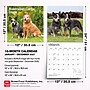 2027 BrownTrout Australian Cattle Dogs 12" x 12" Monthly Wall Calendar (9798330712182)~#|#~sp320816595_sc7