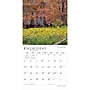 2027 BrownTrout Arkansas Wild & Scenic 12" x 12" Monthly Wall Calendar (9798330714070)~#|#~sp320816619_sc7