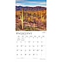 2027 BrownTrout Arizona Wild & Scenic 12" x 12" Monthly Wall Calendar (9798330710386)~#|#~sp320816629_sc7