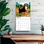 2027 BrownTrout Bernese Mountain Dogs 12" x 12" Monthly Wall Calendar (9798330712236)~#|#~sp320816694_sc7