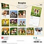 2027 BrownTrout Beagles 12" x 12" Monthly Wall Calendar (9798330712229)~#|#~sp320816701_sc7