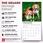 2027 BrownTrout Beagles 12" x 12" Monthly Wall Calendar (9798330712229)~#|#~sp320816705_sc7