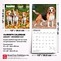2027 BrownTrout Beagles 12" x 12" Monthly Wall Calendar (9798330712229)~#|#~sp320816706_sc7