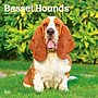 2027 BrownTrout Basset Hounds 12" x 12" Monthly Wall Calendar (9798330712212)~#|#~sp320816720_sc7