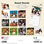 2027 BrownTrout Basset Hounds 12" x 12" Monthly Wall Calendar (9798330712212)~#|#~sp320816721_sc7