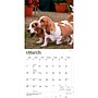 2027 BrownTrout Basset Hounds 12" x 12" Monthly Wall Calendar (9798330712212)~#|#~sp320816722_sc7