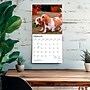 2027 BrownTrout Basset Hounds 12" x 12" Monthly Wall Calendar (9798330712212)~#|#~sp320816724_sc7