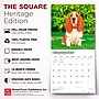 2027 BrownTrout Basset Hounds 12" x 12" Monthly Wall Calendar (9798330712212)~#|#~sp320816725_sc7