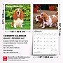 2027 BrownTrout Basset Hounds 12" x 12" Monthly Wall Calendar (9798330712212)~#|#~sp320816726_sc7