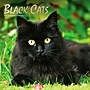 2027 BrownTrout Black Cats 12" x 12" Monthly Wall Calendar (9798330711765)~#|#~sp320816741_sc7