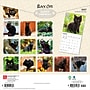 2027 BrownTrout Black Cats 12" x 12" Monthly Wall Calendar (9798330711765)~#|#~sp320816742_sc7