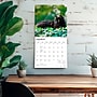 2027 BrownTrout Black Cats 12" x 12" Monthly Wall Calendar (9798330711765)~#|#~sp320816745_sc7