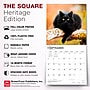 2027 BrownTrout Black Cats 12" x 12" Monthly Wall Calendar (9798330711765)~#|#~sp320816746_sc7
