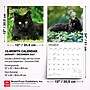 2027 BrownTrout Black Cats 12" x 12" Monthly Wall Calendar (9798330711765)~#|#~sp320816747_sc7
