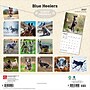 2027 BrownTrout Blue Heelers 12" x 12" Monthly Wall Calendar (9798330712250)~#|#~sp320816752_sc7