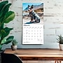 2027 BrownTrout Blue Heelers 12" x 12" Monthly Wall Calendar (9798330712250)~#|#~sp320816755_sc7