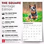 2027 BrownTrout Blue Heelers 12" x 12" Monthly Wall Calendar (9798330712250)~#|#~sp320816756_sc7