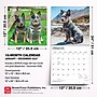 2027 BrownTrout Blue Heelers 12" x 12" Monthly Wall Calendar (9798330712250)~#|#~sp320816757_sc7