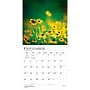 2027 BrownTrout Blessings 12" x 12" Monthly Wall Calendar (9798330711475)~#|#~sp320816764_sc7