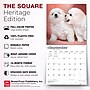2027 BrownTrout Bichon Frise Puppies 12" x 12" Monthly Wall Calendar (9798330714100)~#|#~sp320816777_sc7
