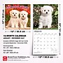 2027 BrownTrout Bichon Frise Puppies 12" x 12" Monthly Wall Calendar (9798330714100)~#|#~sp320816778_sc7