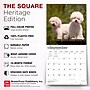 2027 BrownTrout Bichon Frise 12" x 12" Monthly Wall Calendar (9798330712243)~#|#~sp320816787_sc7