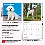 2027 BrownTrout Bichon Frise 12" x 12" Monthly Wall Calendar (9798330712243)~#|#~sp320816788_sc7