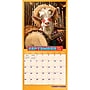 2027 BrownTrout Avanti Funny Farm 12" x 12" Monthly Wall Calendar (9798330712984)~#|#~sp320816805_sc7