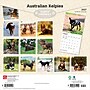 2027 BrownTrout Australian Kelpies 12" x 12" Monthly Wall Calendar (9798330712199)~#|#~sp320816823_sc7