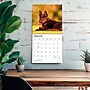 2027 BrownTrout Australian Kelpies 12" x 12" Monthly Wall Calendar (9798330712199)~#|#~sp320816826_sc7