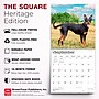 2027 BrownTrout Australian Kelpies 12" x 12" Monthly Wall Calendar (9798330712199)~#|#~sp320816827_sc7