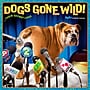 2027 BrownTrout Avanti Dogs Gone Wild 12" x 12" Monthly Wall Calendar (9798330712960)~#|#~sp320816832_sc7