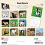 2027 BrownTrout Baby Goats 12" x 12" Monthly Wall Calendar (9798330711857)~#|#~sp320816873_sc7