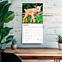 2027 BrownTrout Baby Goats 12" x 12" Monthly Wall Calendar (9798330711857)~#|#~sp320816876_sc7