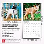 2027 BrownTrout Baby Goats 12" x 12" Monthly Wall Calendar (9798330711857)~#|#~sp320816878_sc7