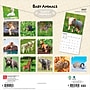 2027 BrownTrout Baby Animals 12" x 12" Monthly Wall Calendar (9798330711840)~#|#~sp320816883_sc7