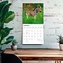2027 BrownTrout Baby Animals 12" x 12" Monthly Wall Calendar (9798330711840)~#|#~sp320816887_sc7
