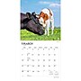 2027 BrownTrout Baby Moo Moos 12" x 12" Monthly Wall Calendar (9798330711864)~#|#~sp320816905_sc7