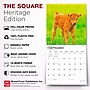 2027 BrownTrout Baby Moo Moos 12" x 12" Monthly Wall Calendar (9798330711864)~#|#~sp320816908_sc7