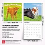 2027 BrownTrout Baby Moo Moos 12" x 12" Monthly Wall Calendar (9798330711864)~#|#~sp320816909_sc7