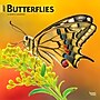 2027 BrownTrout Butterflies 12" x 12" Monthly Wall Calendar (9798330712021)~#|#~sp320816943_sc7