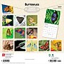 2027 BrownTrout Butterflies 12" x 12" Monthly Wall Calendar (9798330712021)~#|#~sp320816944_sc7