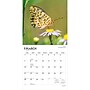 2027 BrownTrout Butterflies 12" x 12" Monthly Wall Calendar (9798330712021)~#|#~sp320816945_sc7