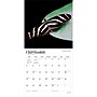 2027 BrownTrout Butterflies 12" x 12" Monthly Wall Calendar (9798330712021)~#|#~sp320816946_sc7